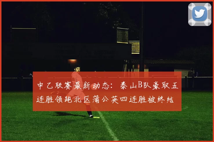 中乙联赛最新动态：泰山B队豪取五连胜领跑北区蒲公英四连胜被终结