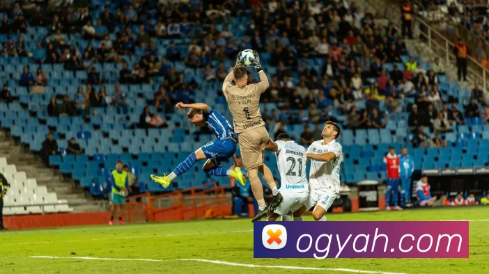 全球热力图